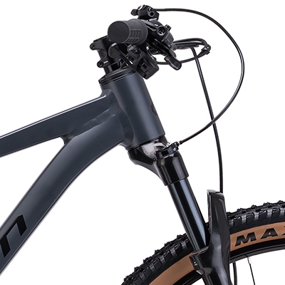 ctm-rascal-xpert-29-d1